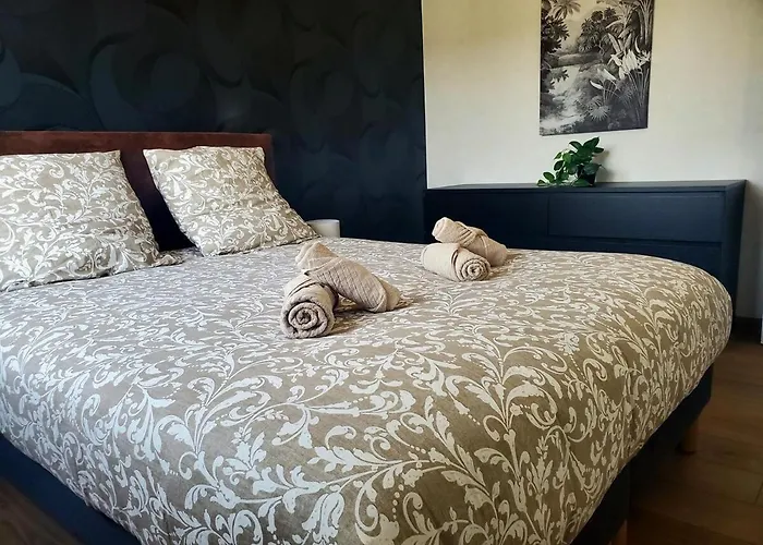 Apartment Le Moderne Chic - Clermont-Ferrand